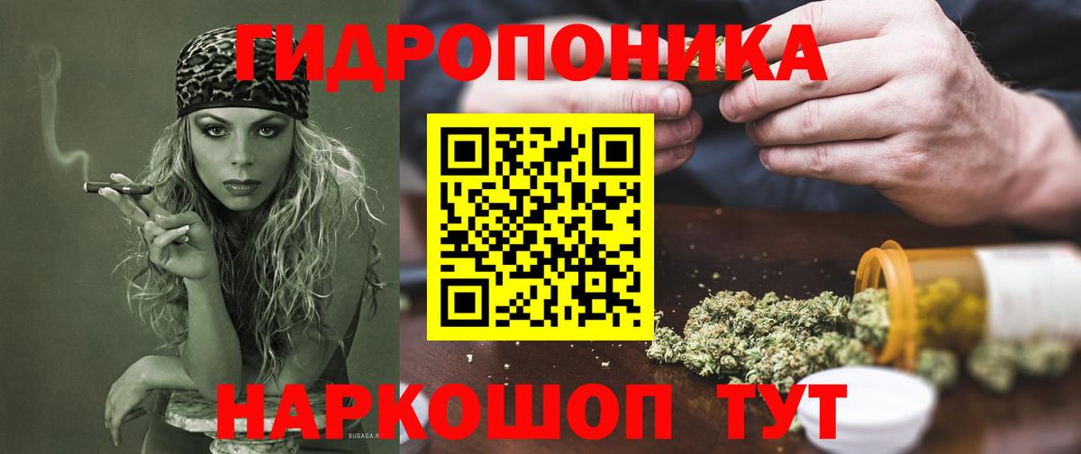 Бошки марихуана SATIVA & INDICA  Марихуана AK-47  Вологда  Каннабис ГИДРОПОН  Вход с VPN 
